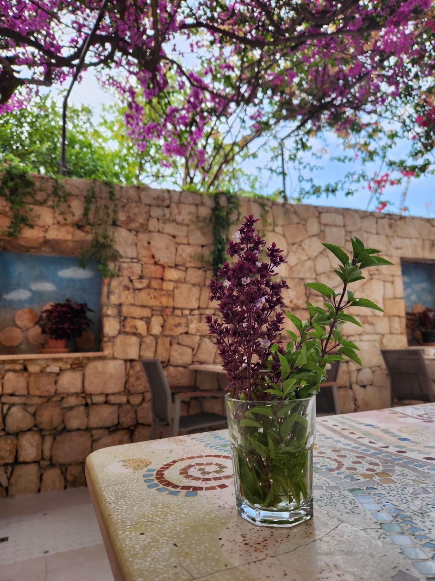 Hotel Begonvil Κας Εξωτερικό φωτογραφία